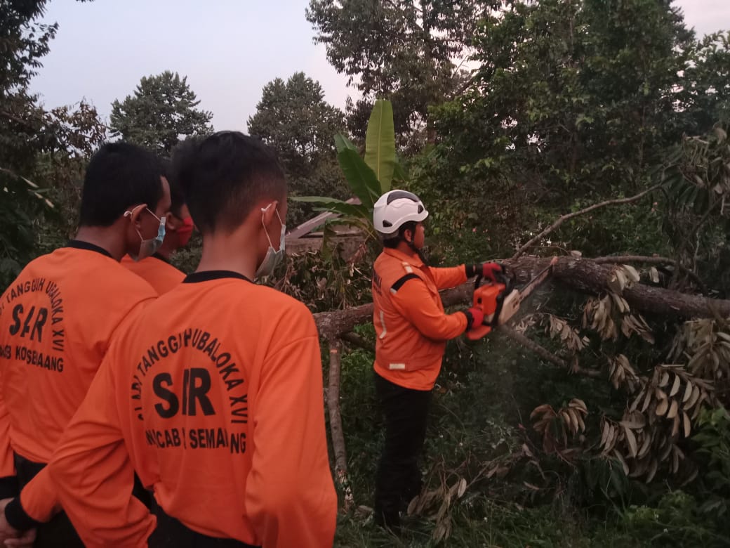 Lagi, UBALOKA Lakukan Penanggulangan Bencana Pohon Tumbang