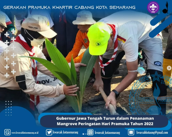 Gubernur Jawa Tengah Turun dalam Penanaman Mangrove Peringatan Hari Pramuka Tahun 2022